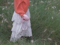 -白鹭湾湿地公园