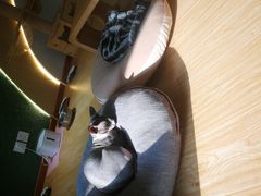 -猫和宫(六道口店)