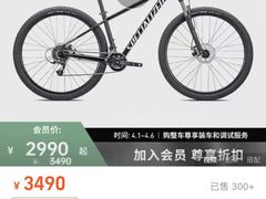 -SPECIALIZED闪电自行车(北苑路店)