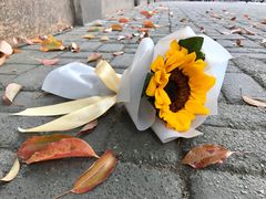 -花邻FloweringLife花艺气球派对(武康大楼店)