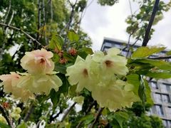 -新天地活力PARK