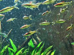 -成都浩海立方海洋公园