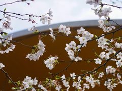 -白塔公园-儿童游乐园