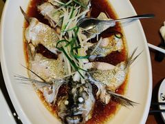 -丹江渔村(望京店)