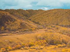 -塞罕坝国家级自然保护区