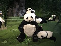 -成都泰迪熊博物馆
