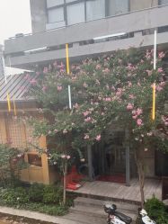 点击看大图 -马克叔叔的照相馆(东门店)