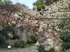 -团城山公园