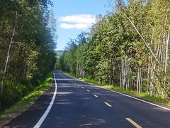 -五营红松林海景区