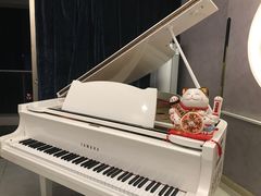 -乐尚音乐空间·钢琴·声乐·架子鼓(会展中心店)
