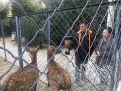 -长白岛森林公园