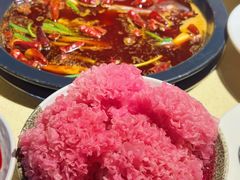 -蜀家渝重庆火锅(南屏街店)