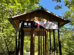 -青峰峡国家森林公园