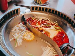 -辣伍鲜毛肚老火锅(元一店)