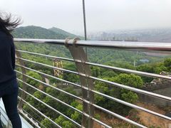 -华西村