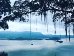 -大埔公路-马料水段香港中文大学(公交站)