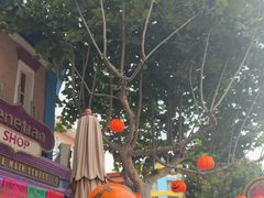 -青岛方特梦幻王国