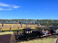 -稻梦空间冰雪小镇