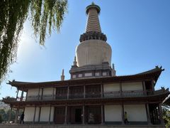 -张掖大佛寺景区