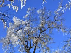 -太子岭滑雪场
