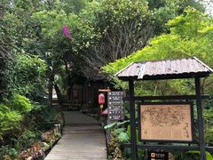 -天门沟九州驿站树上汤泉