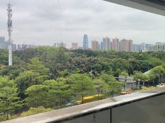 -百年果林椰子鸡(中洲店)