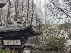 -惠山古镇·寄畅园