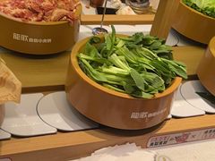 -龍歌自助小火锅(崂山丽达店)