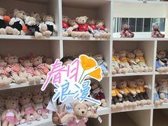 -济州岛泰迪熊博物馆