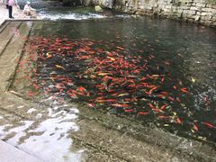 -水磨沟公园