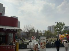 -首开·龙湖成都西宸天街