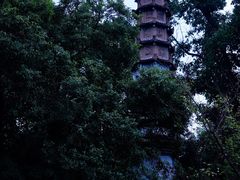 -西泠印社