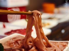 捞派鸭肠-海底捞火锅(锦艺城店)