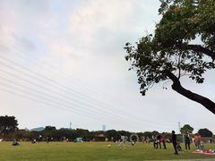 -长洲岛都市农业公园