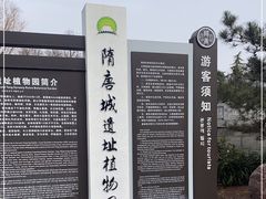 -洛阳市隋唐城遗址植物园