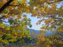 -五女峰国家森林公园