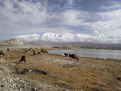 -美好时光量贩欢唱城(汇金商贸城店)