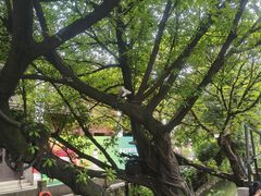 -麦当劳(南后街店)