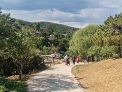 -北京西山国家森林公园