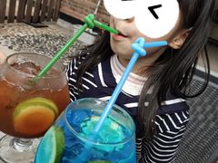 -柴犬高等学院·狗咖·柴犬售卖·宠物训练