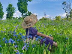 -白鹭湾湿地公园
