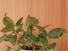 -和记小菜(名品店)