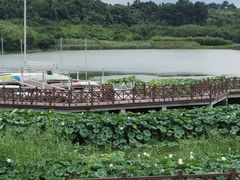 -溧水东庐山服务区-停车场