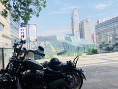 -铁山坪森林公园