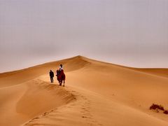-亿利库布其七星湖沙漠生态旅游区