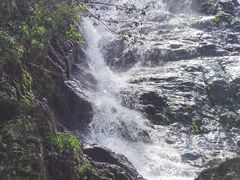 -东白山