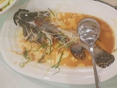 -顺峰(阜成店)