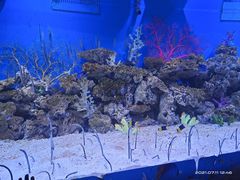 -成都浩海立方海洋公园