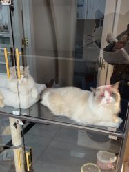 -花系美·美甲美睫精品店