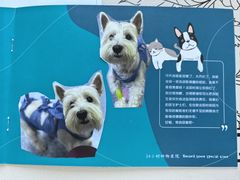 -美联众合动物医院·24h转诊中心